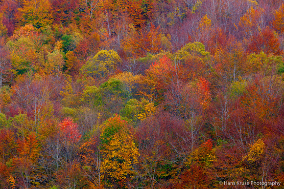 Autumn Colors in Gran Sasso, Abruzzo, Italy