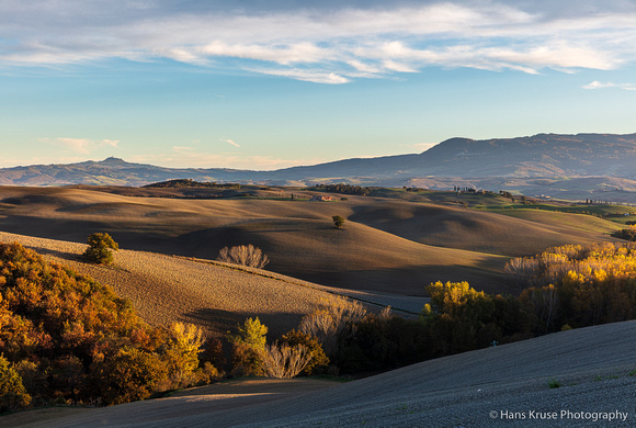 Tuscan fields in afternoon light