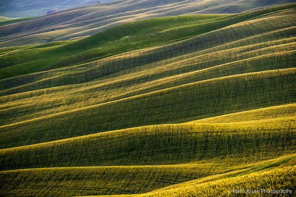 Rolling hills in Tuscany