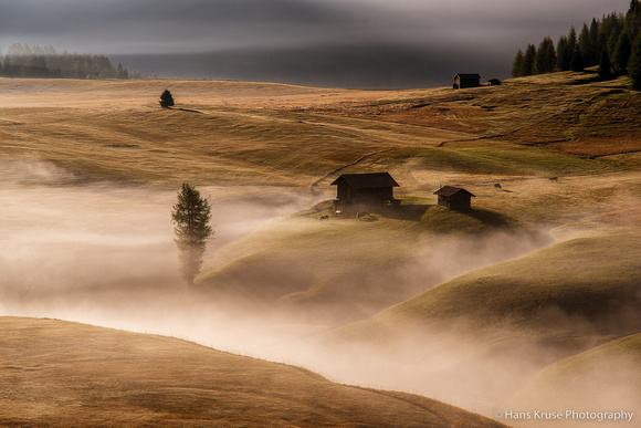 Detail from morning shoot in Alpe di Siusi