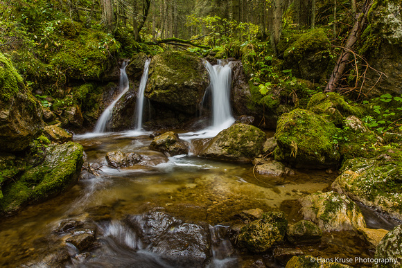 Water streams in a Dolomites forest