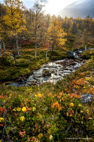Western Norway with autumn light and colours