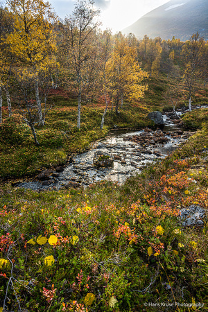Western Norway with autumn light and colours
