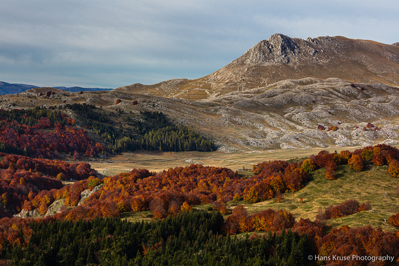 Trees with autumn colors on Campo Imperatore