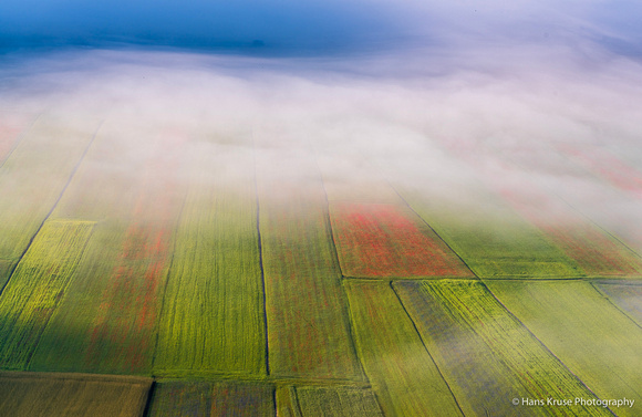 Colorful fields of Umbria