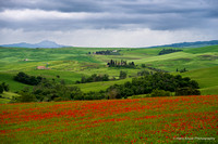 Tuscany May 2023