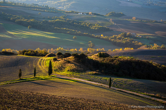 Tuscan fields in morning light