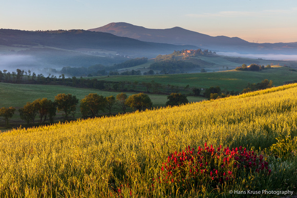 Colourful morning in Val d'Orcia