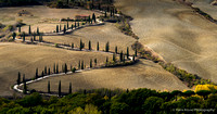 The winding road