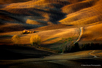 Lonely house
