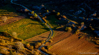 Country road in morning light