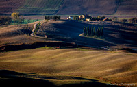 Cypres trees in Tuscan landscape